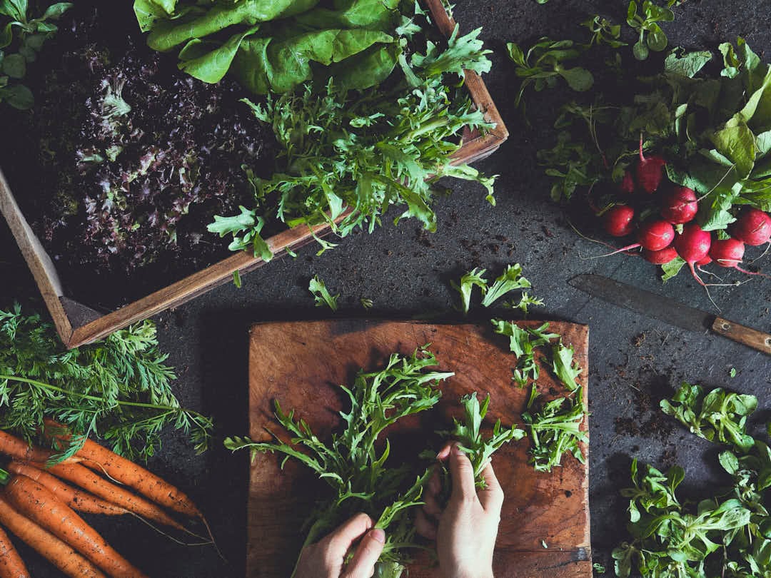 Salate zum Grillen – Der große Guide Teil 2: Blattsalate