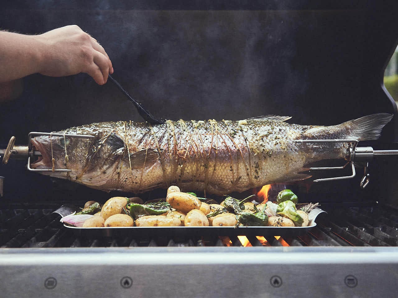 Fisch am Drehspieß grillen