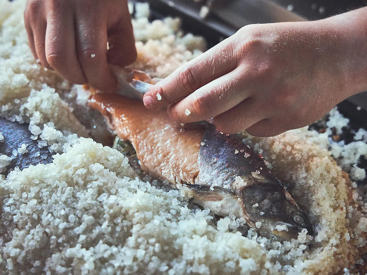 Fisch in Salzkruste